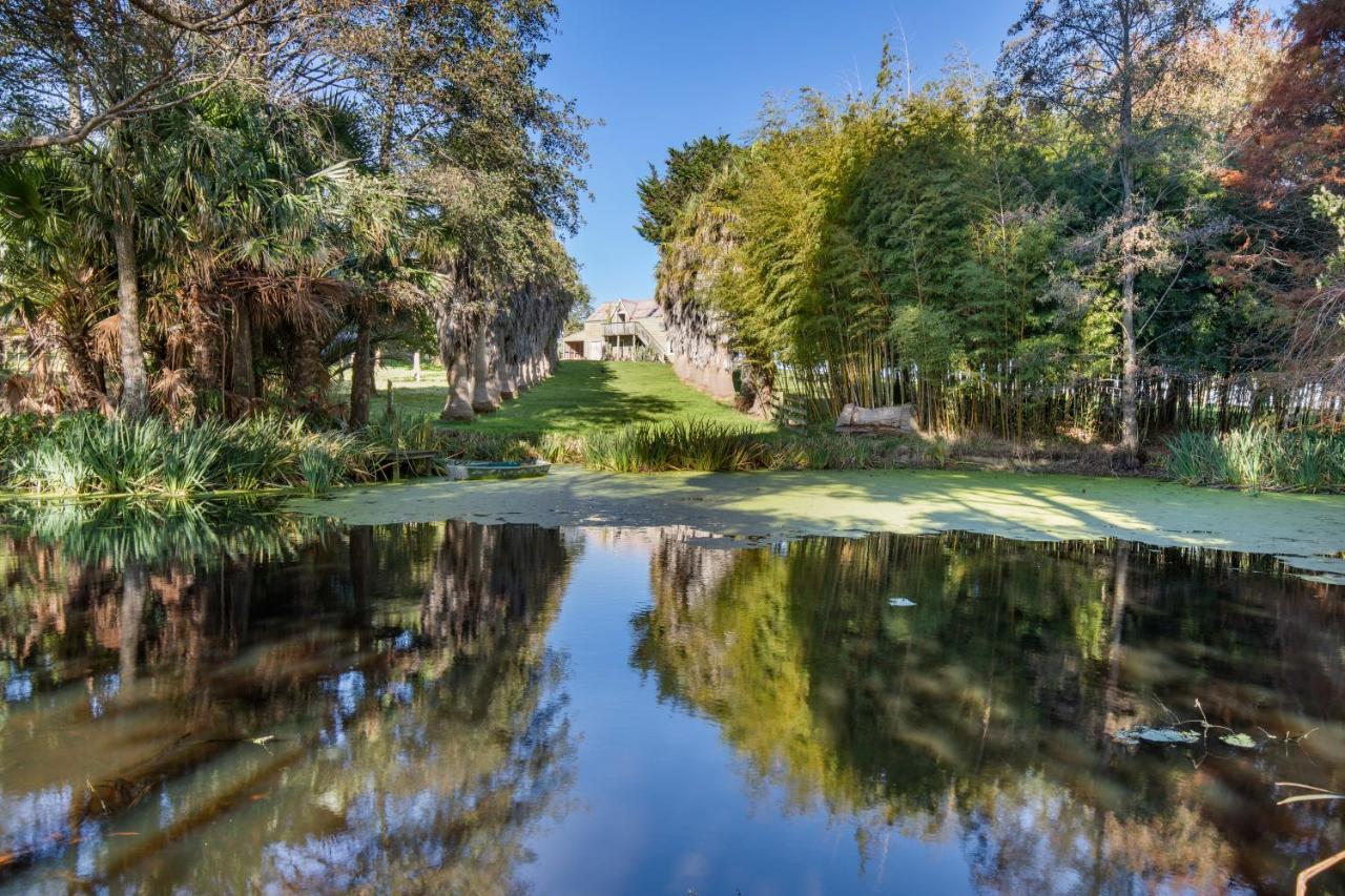 Апартаменты Headlands Estate Уонгануи Экстерьер фото